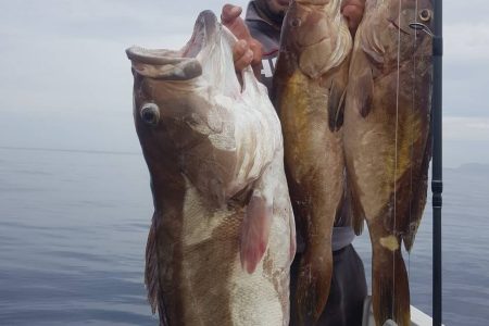 Private Fishing Trip in Kasteli Waters Chania for All Levels