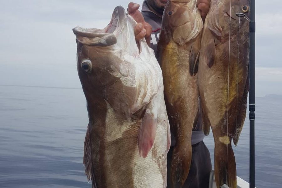 Private Fishing Trip in Kasteli Waters Chania for All Levels